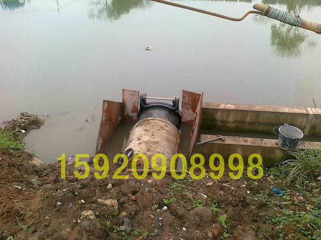 對(duì)接澆筑式拍門