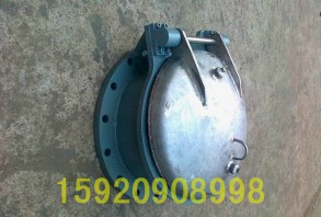 法蘭式不銹鋼拍門(mén)閥