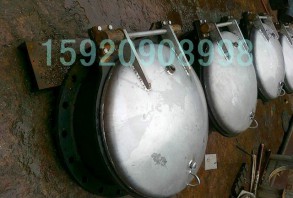 不銹鋼拍門(mén)