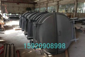 節(jié)能型自由側(cè)開式拍門成品