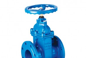 閘閥、蝶閥、止回閥、球閥、管件