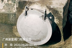 不銹鋼弧面拍門、拱形拍門